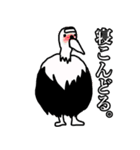 dull jokes（個別スタンプ：4）