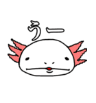 dull jokes（個別スタンプ：8）