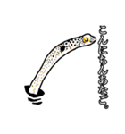 dull jokes（個別スタンプ：23）