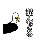 dull jokes（個別スタンプ：27）