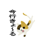 但馬むらおか弁猫（個別スタンプ：3）