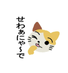 但馬むらおか弁猫（個別スタンプ：11）