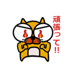 目デカ猫のマピ君（個別スタンプ：11）