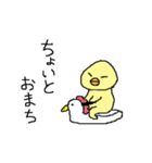 ヒヨコチャーン（個別スタンプ：33）