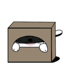 Almond, the cat（個別スタンプ：15）