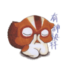 Three cute rodents are good friends（個別スタンプ：32）
