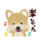 THE BROWN DOG（個別スタンプ：5）