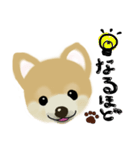 THE BROWN DOG（個別スタンプ：9）