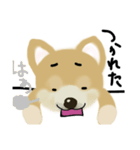 THE BROWN DOG（個別スタンプ：17）