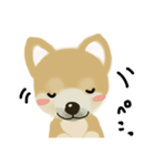 THE BROWN DOG（個別スタンプ：18）