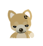 THE BROWN DOG（個別スタンプ：23）