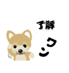 THE BROWN DOG（個別スタンプ：26）