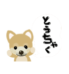 THE BROWN DOG（個別スタンプ：31）