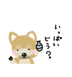 THE BROWN DOG（個別スタンプ：35）