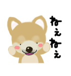 THE BROWN DOG（個別スタンプ：39）