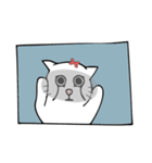Chen,Tang-Tang-Daily Life（個別スタンプ：1）