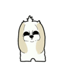 Happy cute shih tzu dog（個別スタンプ：1）