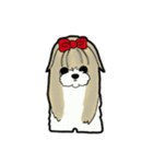 Happy cute shih tzu dog（個別スタンプ：3）