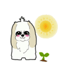 Happy cute shih tzu dog（個別スタンプ：4）