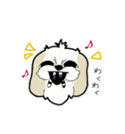 Happy cute shih tzu dog（個別スタンプ：7）