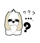 Happy cute shih tzu dog（個別スタンプ：10）