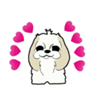 Happy cute shih tzu dog（個別スタンプ：11）