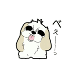 Happy cute shih tzu dog（個別スタンプ：13）