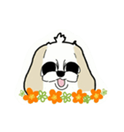 Happy cute shih tzu dog（個別スタンプ：18）