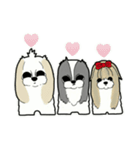 Happy cute shih tzu dog（個別スタンプ：24）