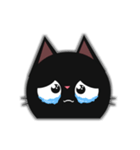 miao cat（個別スタンプ：3）