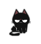 miao cat（個別スタンプ：5）