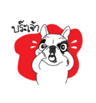 Chubby Chaba（個別スタンプ：15）