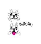 Chubby Chaba（個別スタンプ：19）
