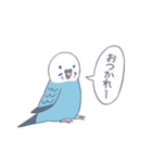 インコのぴっこちゃん（個別スタンプ：14）