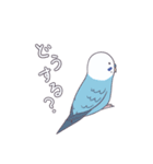 インコのぴっこちゃん（個別スタンプ：33）