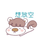 Little Cute Funny Squirrel（個別スタンプ：19）