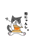 へたゆる Ver.はちねこ（個別スタンプ：21）