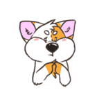 Doodle the Corgi（個別スタンプ：2）