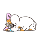 Doodle the Corgi（個別スタンプ：9）