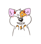 Doodle the Corgi（個別スタンプ：15）