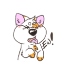 Doodle the Corgi（個別スタンプ：18）