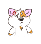 Doodle the Corgi（個別スタンプ：19）