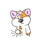 Doodle the Corgi（個別スタンプ：23）