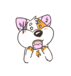 Doodle the Corgi（個別スタンプ：24）