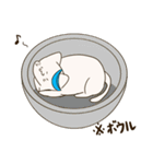 自由気ままな猫 みゃるた（個別スタンプ：27）