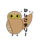 大人気フクロウとハリネズミ（個別スタンプ：11）