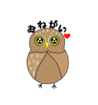 大人気フクロウとハリネズミ（個別スタンプ：13）