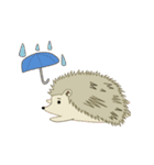 大人気フクロウとハリネズミ（個別スタンプ：19）
