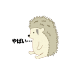 大人気フクロウとハリネズミ（個別スタンプ：22）