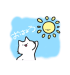 ねこのまんま しろねこ日和（個別スタンプ：1）